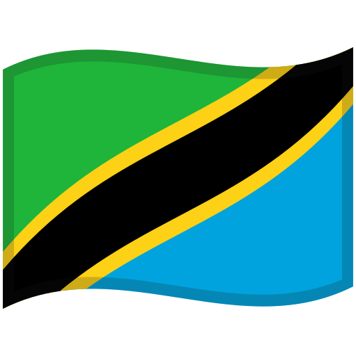 Tanzania flag